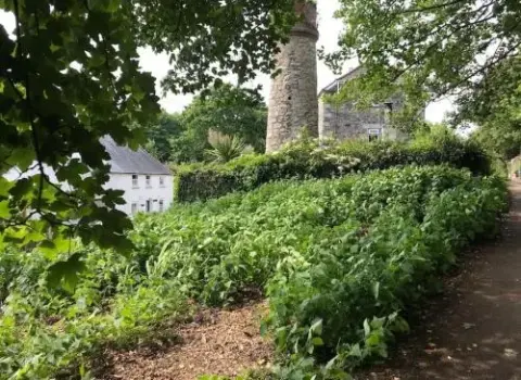 A Woodland Retreat