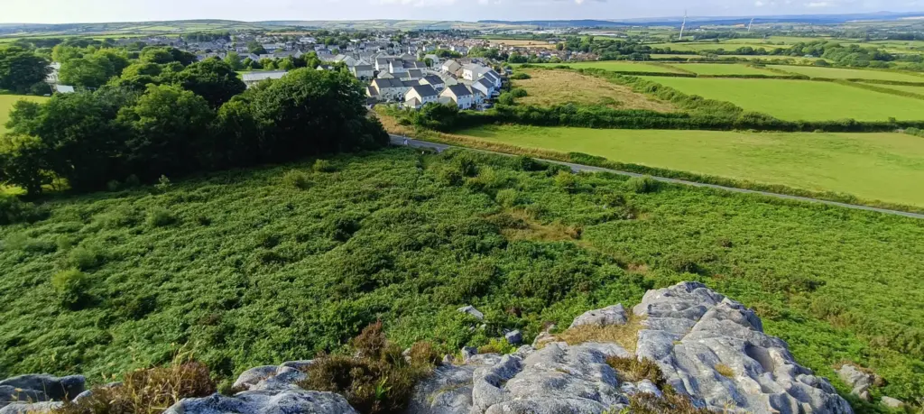 Roche Rock – thick gorse from above