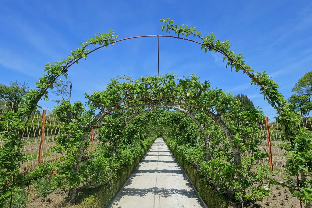 Arbor walkway in the Lost Gardens of Heligan