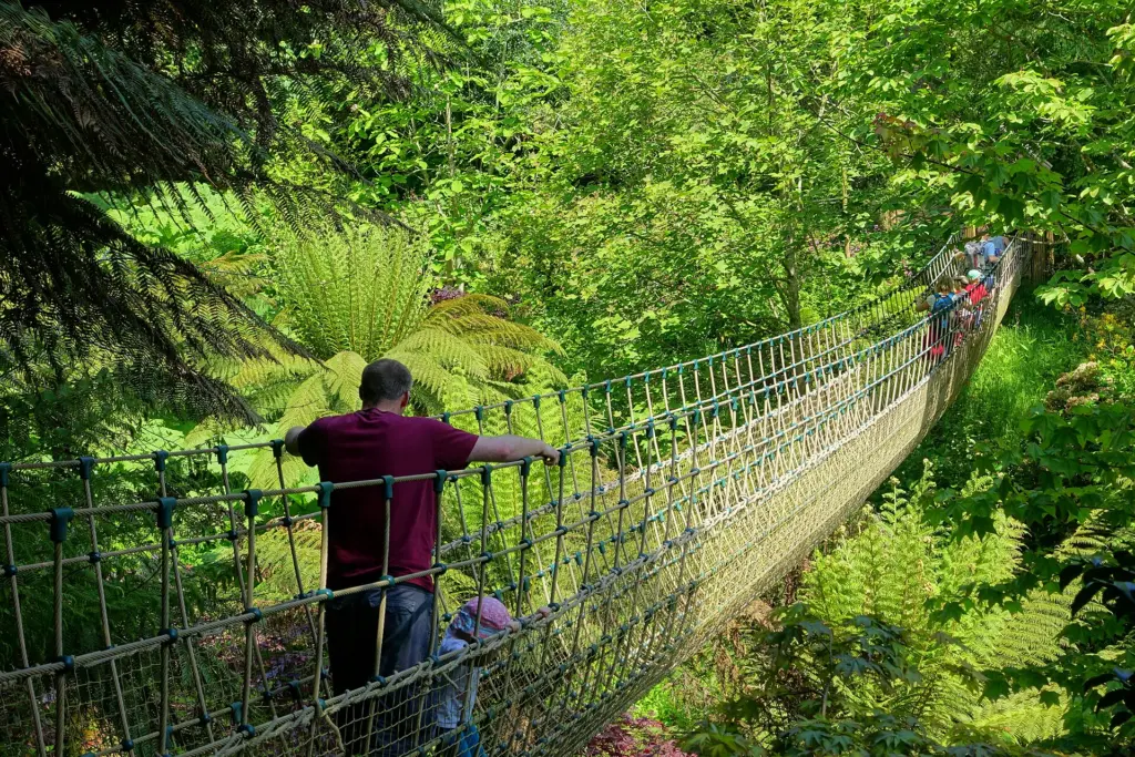 Suspension bridge in the Jungle at the Lost Gardens of Heligan