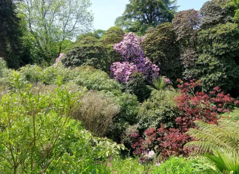 The Lost Gardens of Heligan