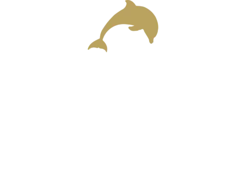 The Dolphin Inn