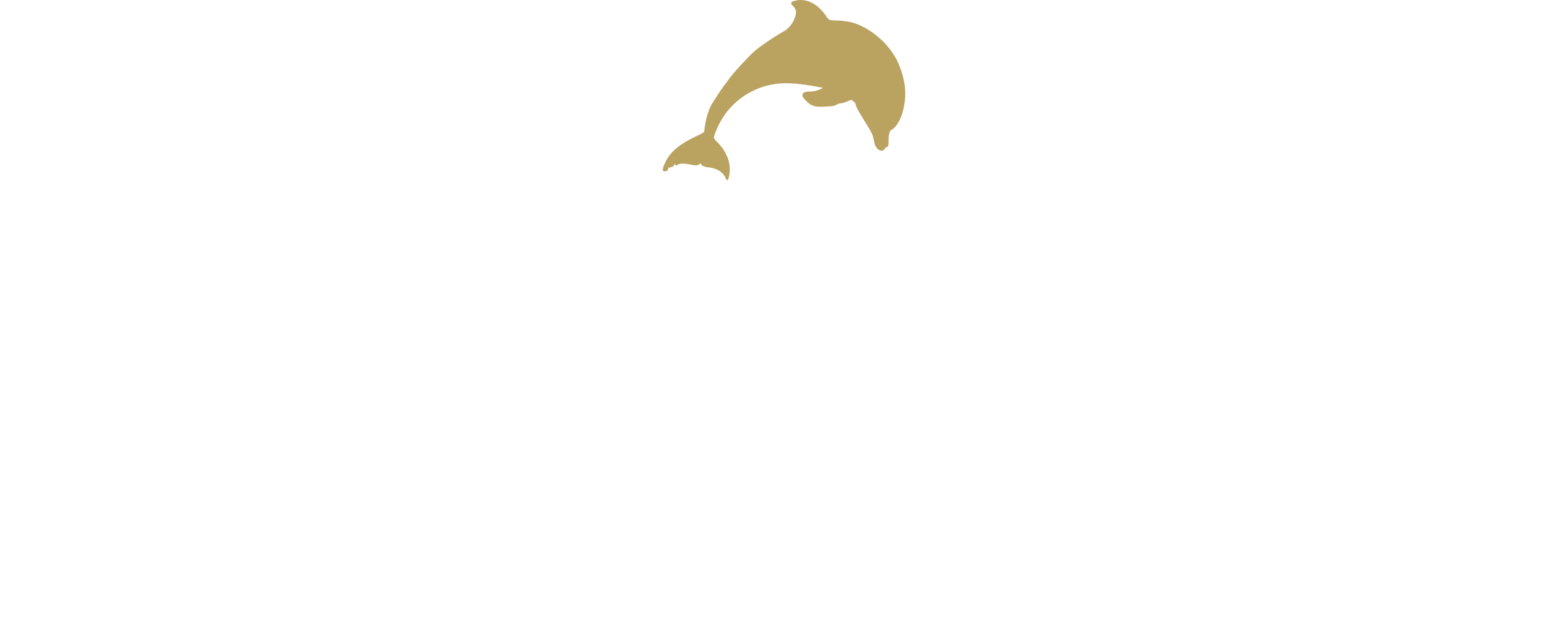 The Dolphin Inn