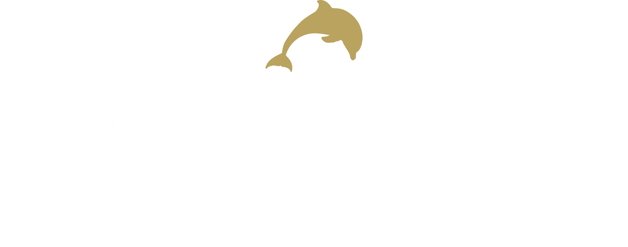 The Dolphin Inn