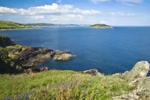 Looe Island (St. George’s Island)