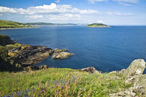 Looe Island (St. George’s Island)