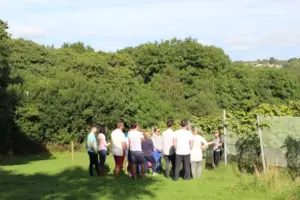 Trevibban Mill Vineyard & Orchard
