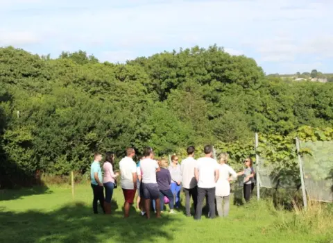Trevibban Mill Vineyard & Orchard