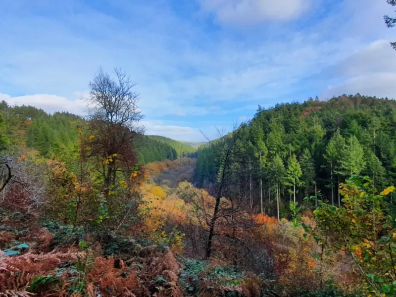 The Lodge at Cardinham Woods