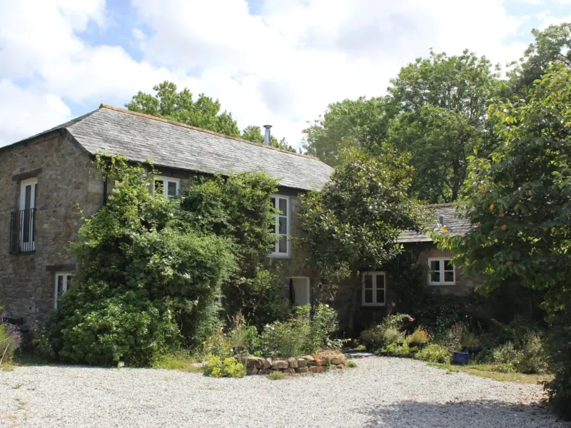 The Willows