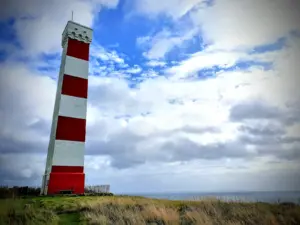 National Trust – Gribbin Head