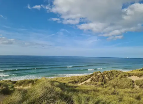 North Cliffs Nature Reserve