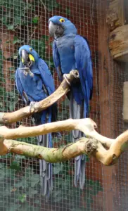 Paradise Park