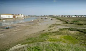 RSPB Hayle Estuary Nature Reserve
