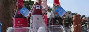 Purely Cornish