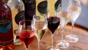 Polgoon Vineyard & Orchard