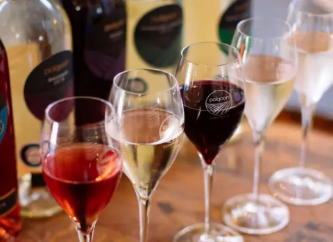 Polgoon Vineyard & Orchard