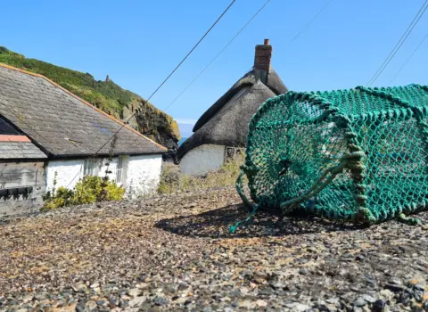 Fishing Cove (near Cadgwith)