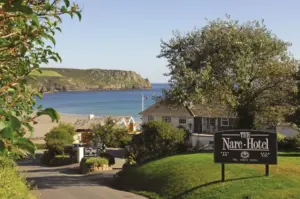 The Nare