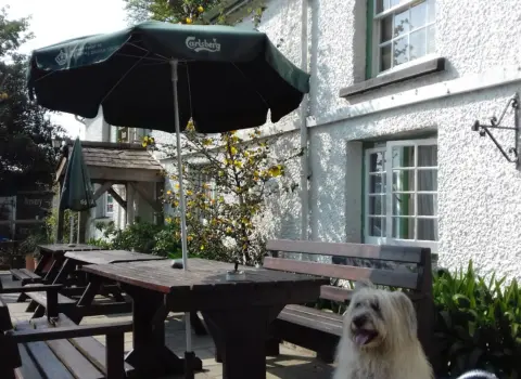 Roseland Inn