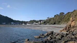 The Cove