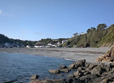 The Cove