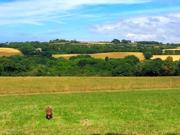 Trevessa Farm
