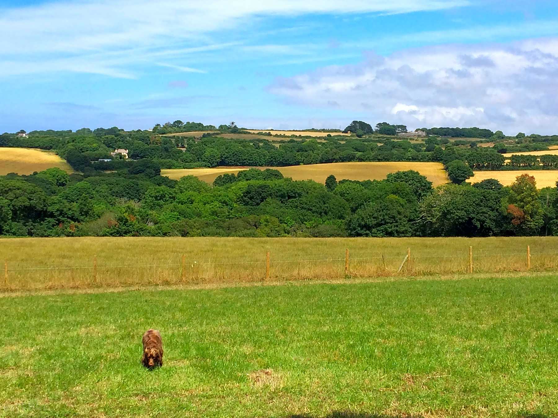 Trevessa Farm