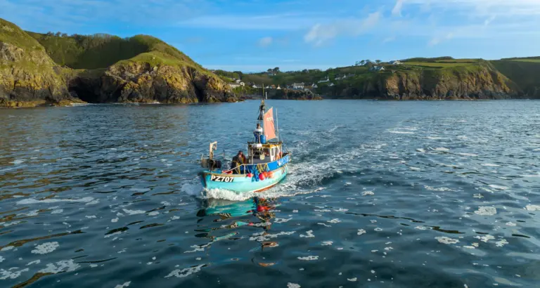 Cadgwith Cove Inn