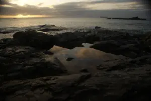 Rockpool