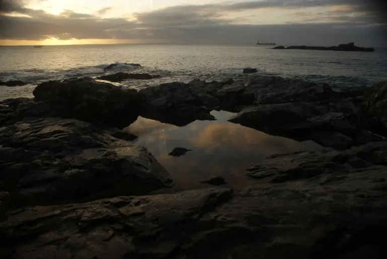 Rockpool