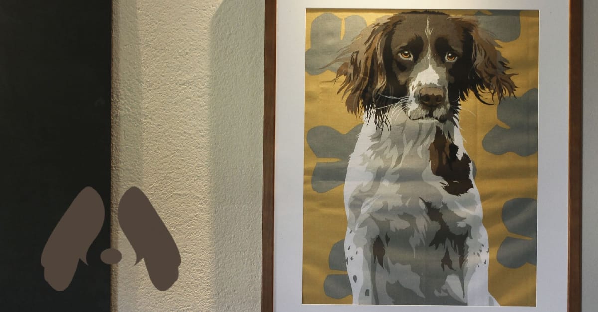 The Springer Spaniel