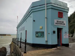 Mevagissey Aquarium