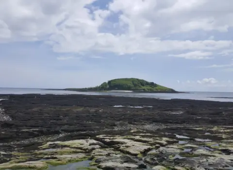 Looe Island (St George’s Island)