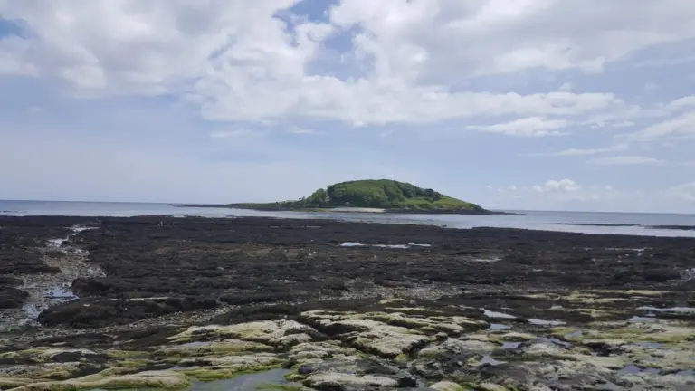 Looe Island (St George’s Island)