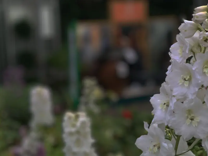 Trevena Cross Nurseries
