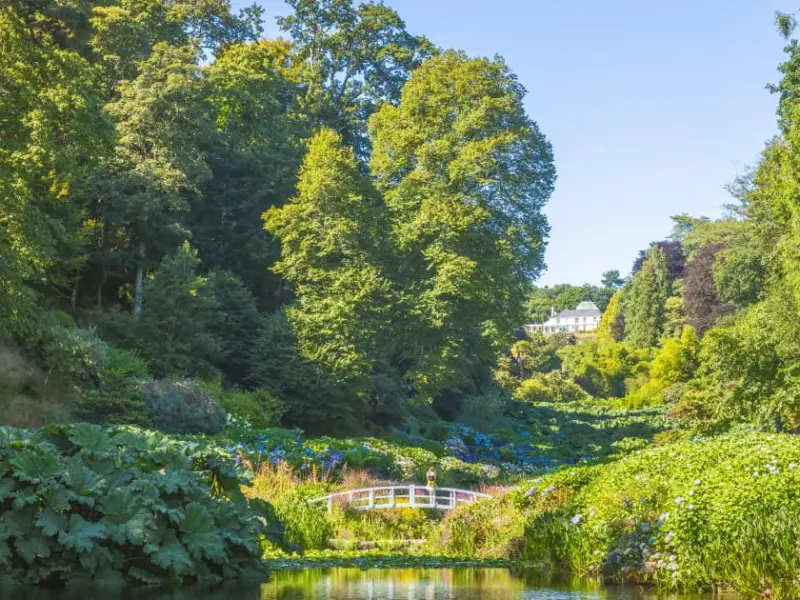 Trebah Garden Shop