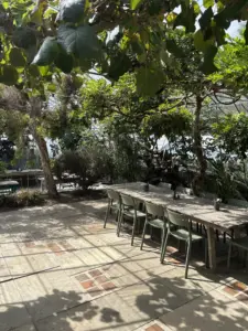 The Potager Garden Shop