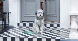 Mungo & Maud – Helston