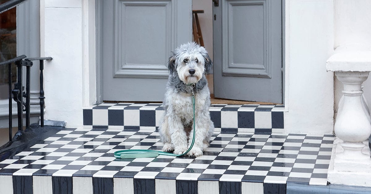 Mungo & Maud – Helston