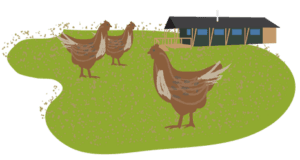 Boswarthen Farm