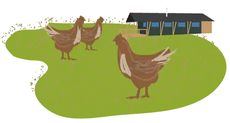 Boswarthen Farm