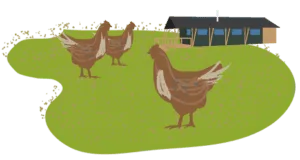 Boswarthen Farm