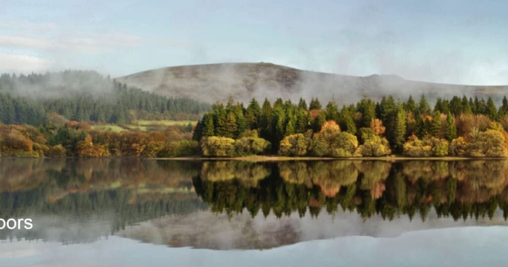 Burrator Arboretum