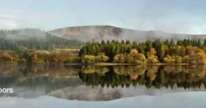 Burrator Arboretum