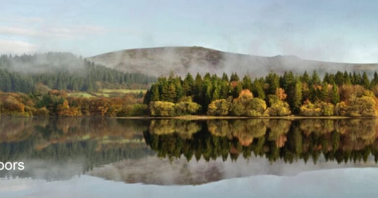 Burrator Arboretum