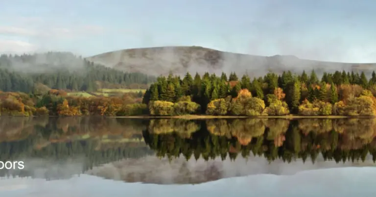 Burrator Arboretum