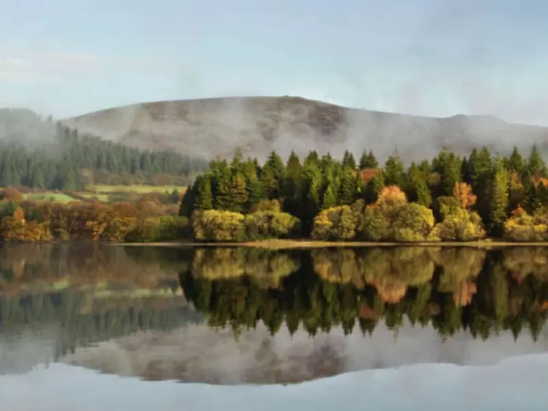 Burrator Arboretum