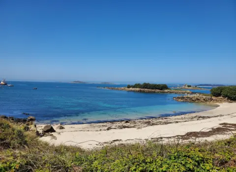 Shark’s Bay