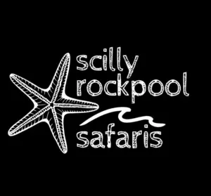 Scilly rockpool safaris